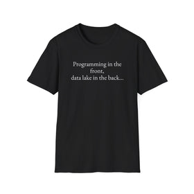 Buy black Programming in the front, data lake in the back..