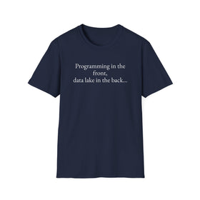 Programming in the front, data lake in the back.. - 0